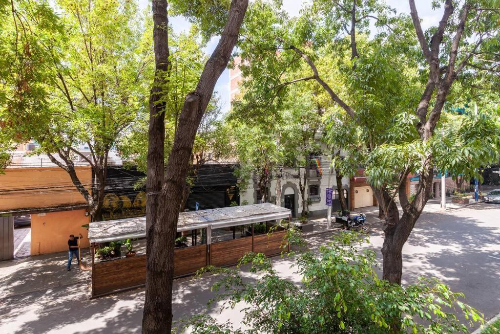 Apartment Amazing 3br In Roma Condesa *