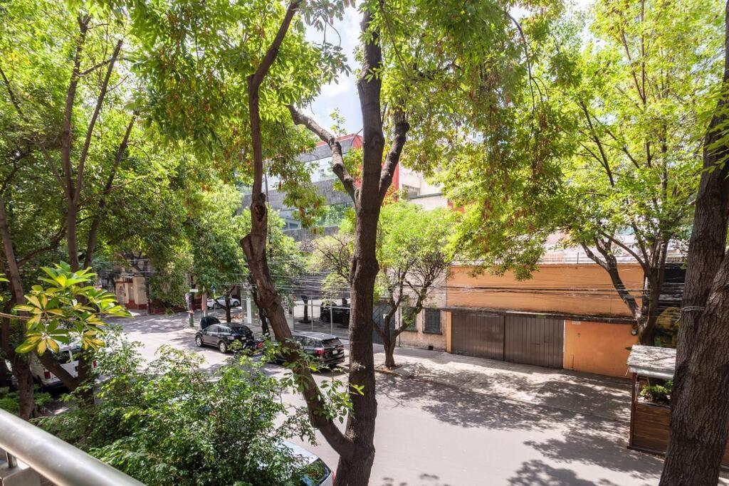 Apartment Amazing 3br In Roma Condesa *